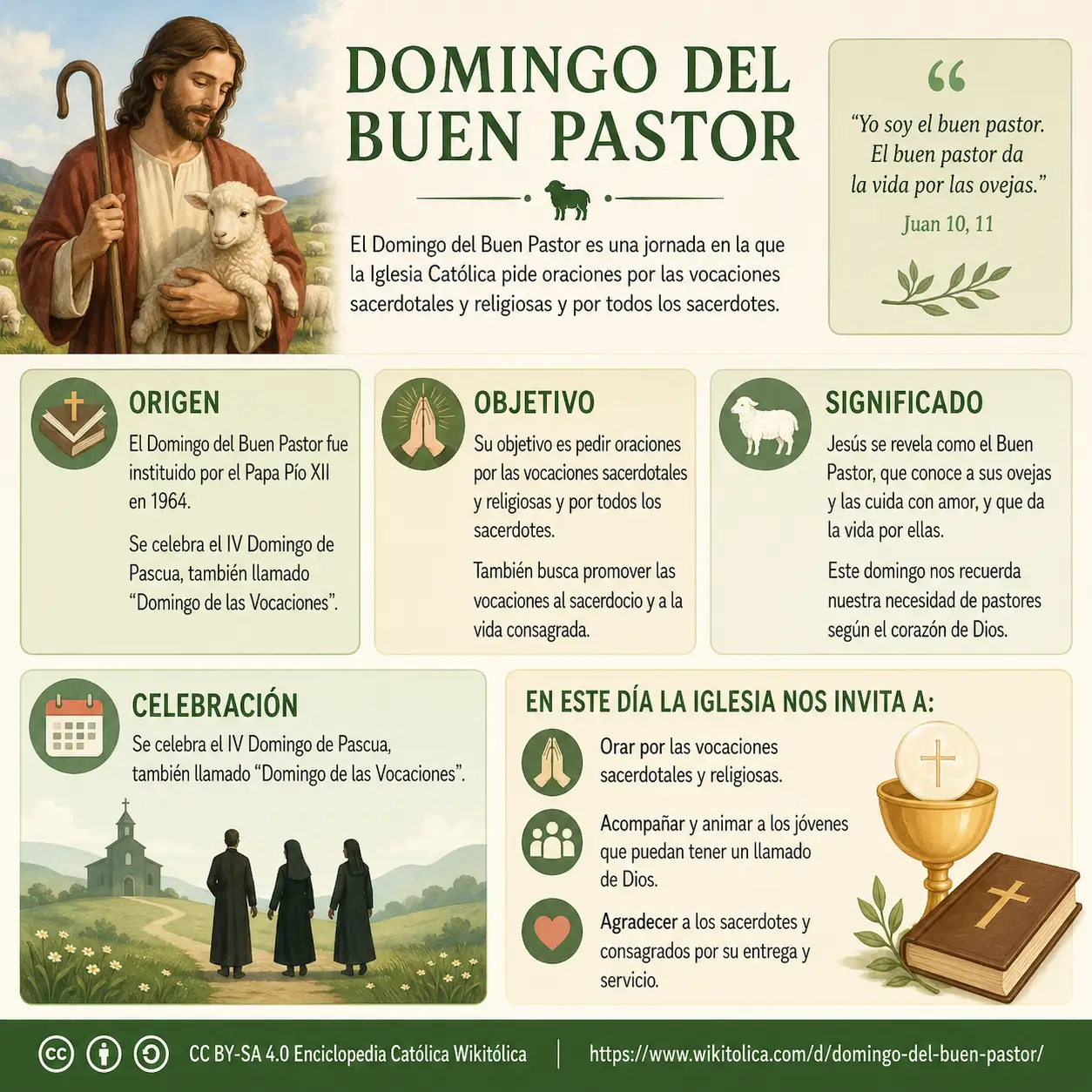 Infografía de Domingo del Buen Pastor