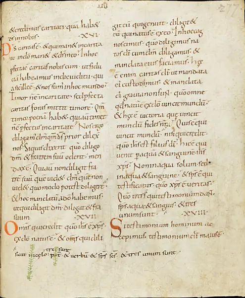 Biblia Vulgata