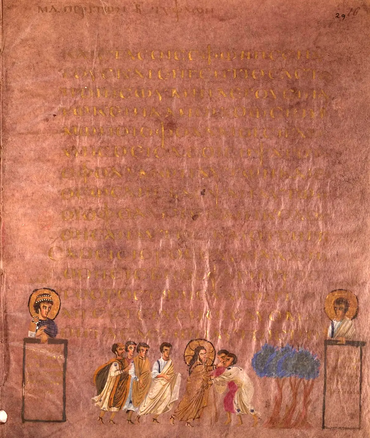 Códice Sinopensis
