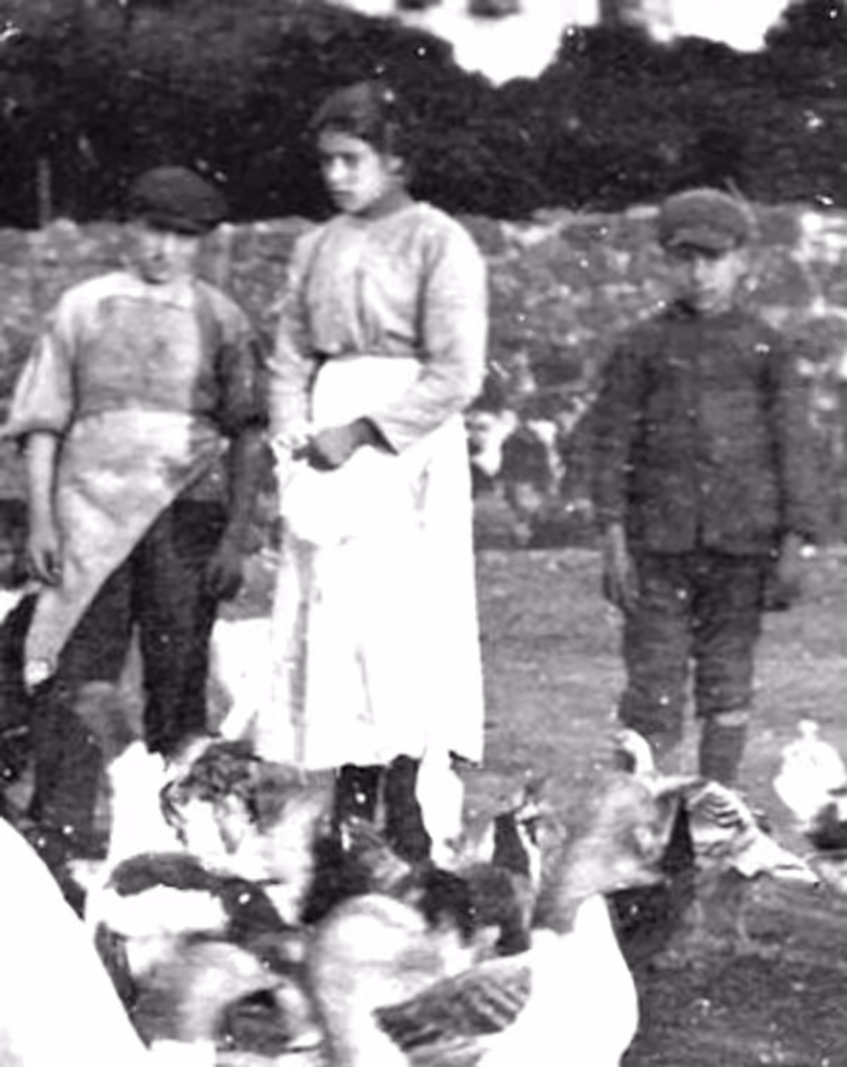 Santa María Goretti