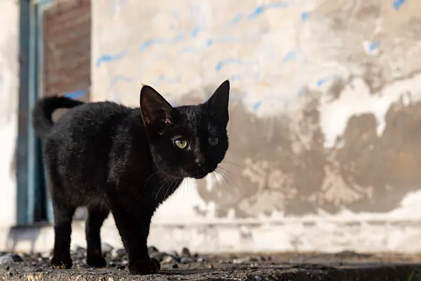 Superstición y fe